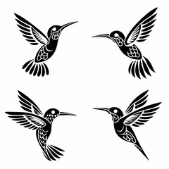 Fototapeta premium Set Of Hummingbird Silhouette Vector Illustration 