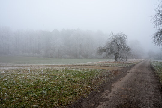 road in the fog