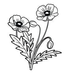 Poppy Linocut Design Adobe Illustrator Artwork