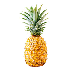 Fototapeta premium A whole pineapple with its spiky crown, against a white background.PNG