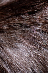 A detailed close up view of a persons hair showcasing its texture