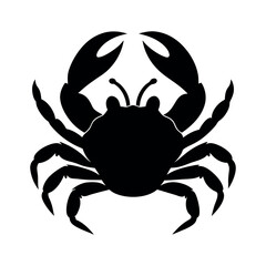 crab isolated on white background