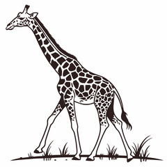 giraffe silhouette vector illustration