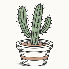 cactus isolated on white