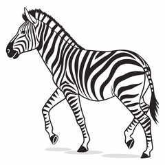 zebra vector illustration