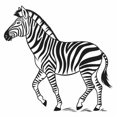 zebra vector illustration