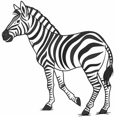zebra cartoon isolated on white