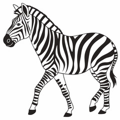 zebra cartoon isolated on white