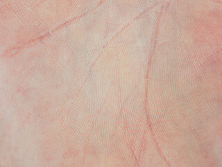 Fototapeta premium Fine lines and patterns on the palm create a unique pattern that emphasizes the beauty of human skin and individuality.