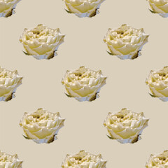 Seamless vector artistic white roses pattern