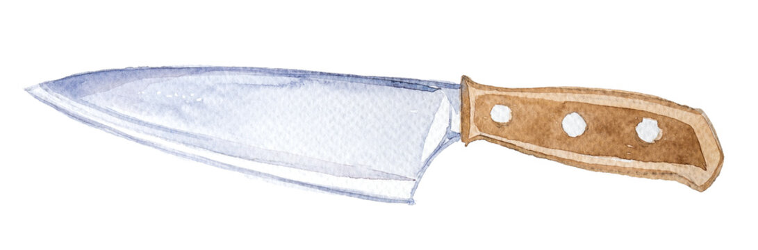 Cuisine or culinary concept painting. Cook book illustration.