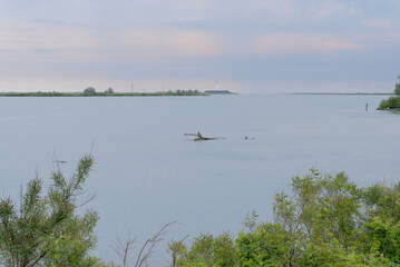 travel on delta del Po river country