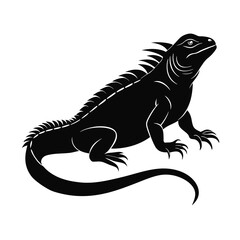 iguana isolated on white illustration art
