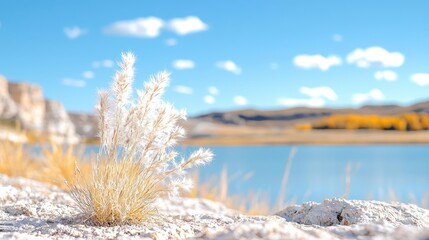 Autumn lake, fluffy grass, mountain backdrop, peaceful scene; nature photography