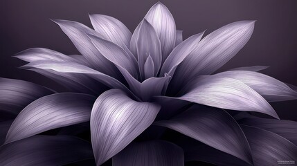 Purple plant blooming indoors, dark background, decorative use.