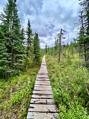 Obraz premium Peaceful Path