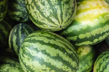 Close up fresh watermelons from fresh market. Watermelon background.