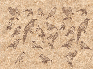 birds, paper, line art, black, sketching, sparrow, crow, texture, vintage, old, sand, pattern, brown, grunge, design, nature, textured, beach, illustration, beige, blank, summer, drawing, retro