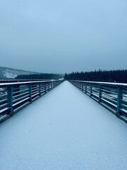 Snow Bridge
