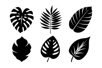 Summer leaves silhouette