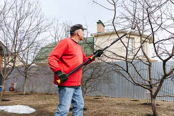 Gardener reaching for tall branches with telescopic pruning shears in a backyard garden