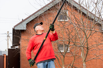 Gardener reaching for tall branches with telescopic pruning shears in a backyard garden