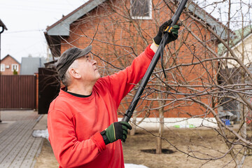 Gardener reaching for tall branches with telescopic pruning shears in a backyard garden