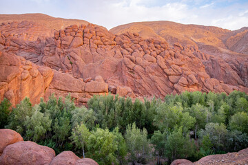 Pink rock formations known as Monkey Fingers rising above green trees in Dades Gorge near Ait Youl, Morocco, create a stunning contrast in a breathtaking landscape