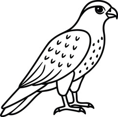 falcon full-body art