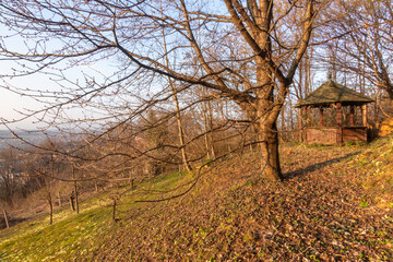 Wooden arbor near Požega in spring day