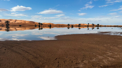 A rare deluge of rain has created new lakes in the rolling sand dunes of parts of the Sahara, one...