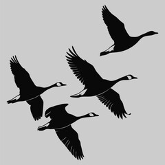 a flock of geese flying silhouette vector design art and illustration