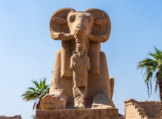 Ancient ram-headed sphinx statues stand majestically under a clear blue sky, their weathered stone...