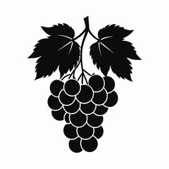 Obraz premium bunch of grapes illustration vector art