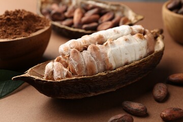 Cocoa pod with beans and powder on brown background, closeup