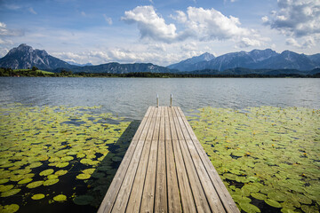 Steg im See