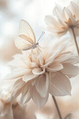 Obraz premium Delicate White Butterfly Resting on a Soft Beige Flower Against a Serene Backdrop of Tranquility