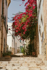 Spanische Gasse Mallorca