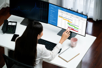 Project planning software for brisk business project management on the computer screen showing...
