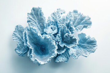 A cluster of light blue coral, intricate texture, isolated on white background.