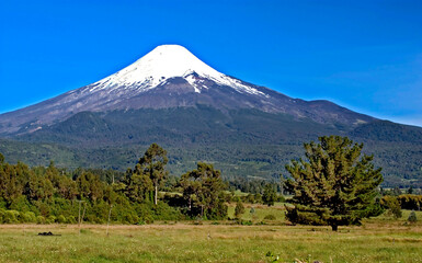 Fototapeta premium Vulcão Osorno. Chile.
