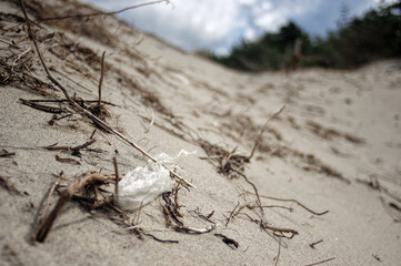 Wild sea lanscape polluted by a plastic garbage. Photoproject against pollution