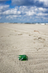 Wild sea lanscape polluted by a plastic garbage. Photoproject against pollution