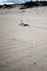 Wild sea lanscape polluted by a plastic garbage. Photoproject against pollution