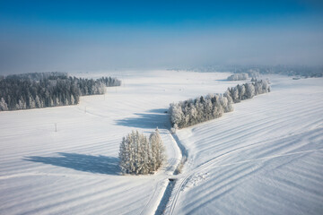 Obraz premium Beautiful landscape of the frozen meadow with trees in Podhale at winter. Poland