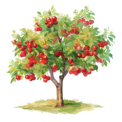 Obraz premium Cherry Tree with Fruit – Lush Watercolor Vector Illustration, Vibrant Cherry Tree Design, Nature-Inspired Artwork, Fresh Cherry Tree with Fruit Vector. 