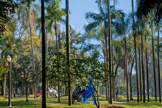 The Luz Park, a public park near the Luz Train Station and Tiradentes Avenue Originally created in 1798 as a botanical garden, it was transformed into a public park in 1938. Brazil, 2018.