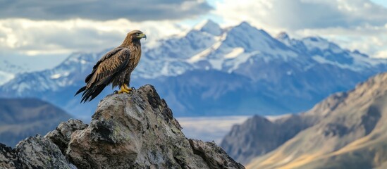 A breathtaking shot of a golden eagle perched on a rocky outcrop, overlooking a vast mountain landscape, symbolizing the majesty of wildlife in high-altitude habitats