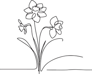 Daffodil Line Drawing Vector Art