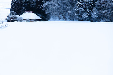 雪国の風景